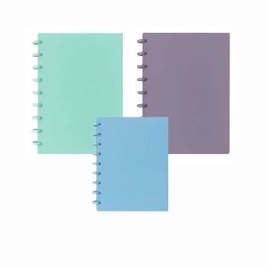 Caderno Inteligente 1/4 160 fls