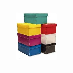 Caixa Organizadora Mini/Sapato Dello