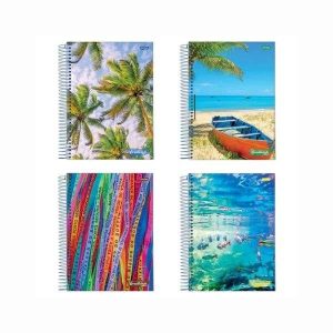 Caderno Espiral CD Brasilidade 1/4 200 fls Jandaia