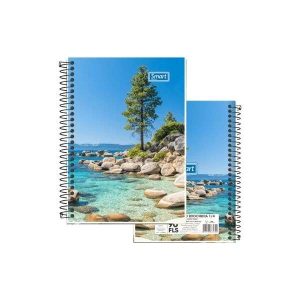 Caderno Espiral 1/4 CD 96 fls Smart