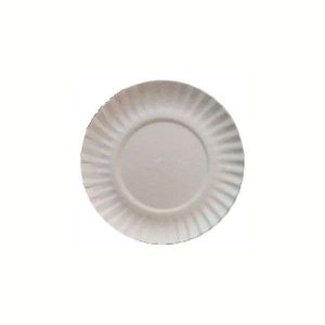 Prato de Papelão nº 4