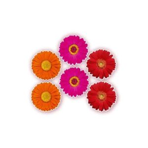 Flores Decorativas