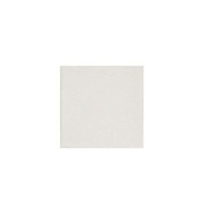 Tela p/ Pintura 10x10