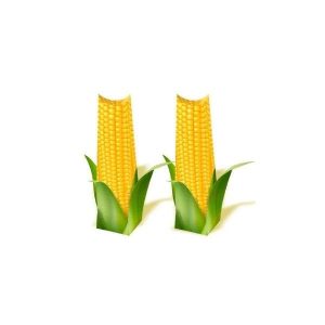 Caixinha de Papel Decorativa Milho c/ 4 Un