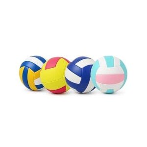 Bola de Vôlei Pró Raça