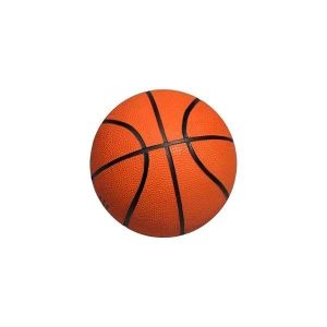 Bola de Basquete Pró Raça